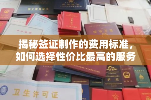 五家渠揭秘签证制作的费用标准，如何选择性价比最高的服务？